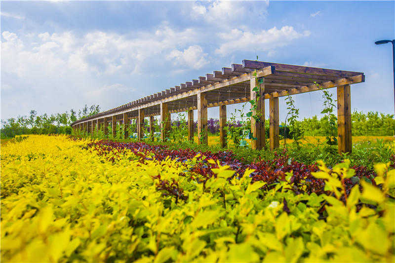 长廊2（长春园区）